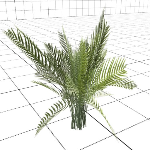 Young Palm