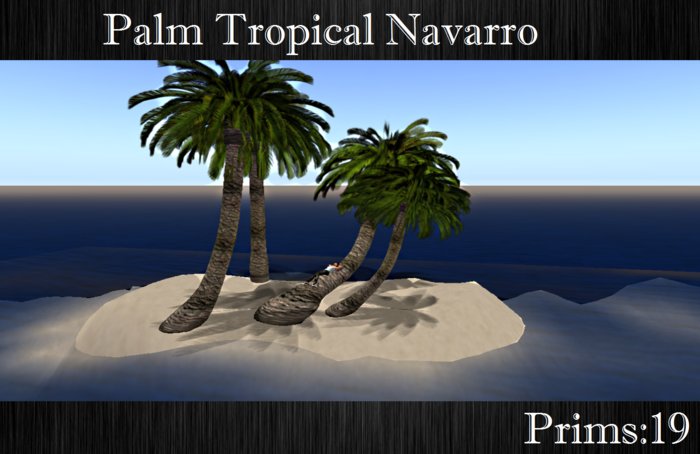palm tropical 1