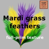 Mardi Gras feathers - texture