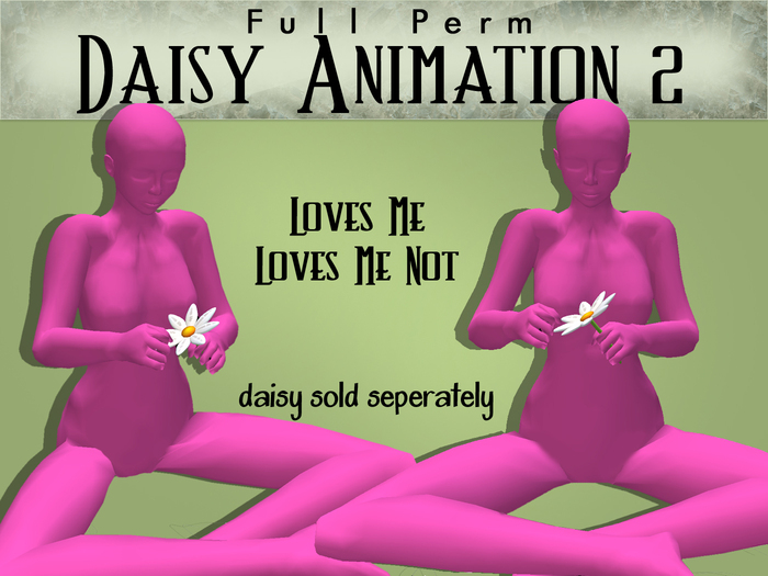 FULL PERM Daisy Plucking Animation 2 - Loves Me, Loves Me Not