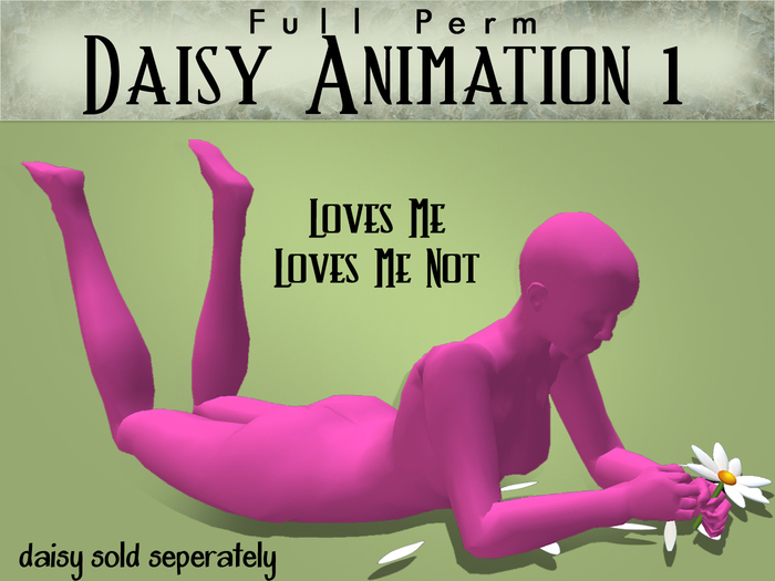 FULL PERM Daisy Plucking Animation 1 - Loves Me, Loves Me Not