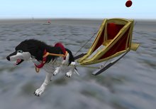 Twi-wolf/husky sled/sleigh+harnass