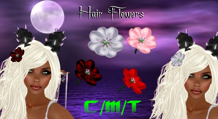Hair Flowers Boxed