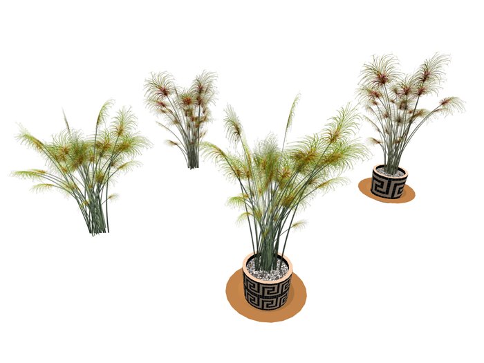 ForestValley _Papyrus_set