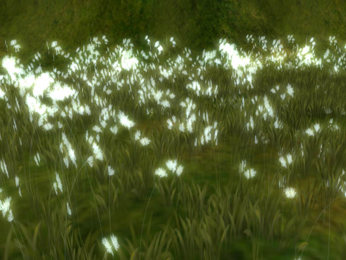 Tiny Glow Flower white