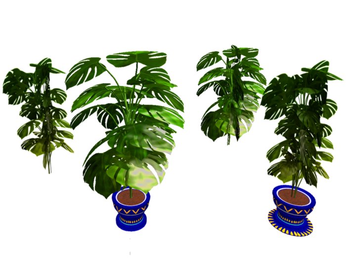 ForestValley Tropic_monstera_set