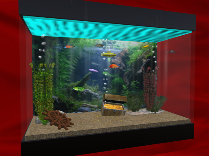 AQUARIUM  FISH FREE ROAMING 1150,00+ TANK  Variations! FRESH SALT C