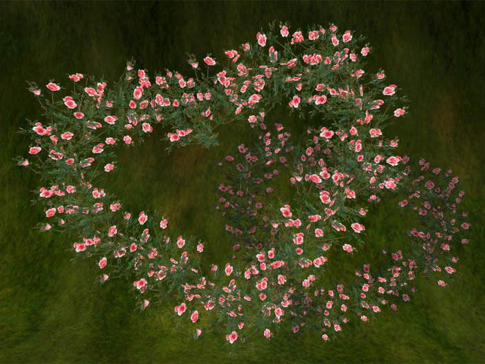 Heart Rose Wreath_pink