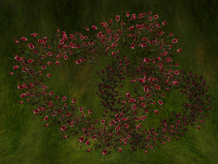 Heart Rose Wreath_Dred