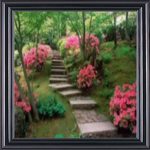 Japanese Garden III