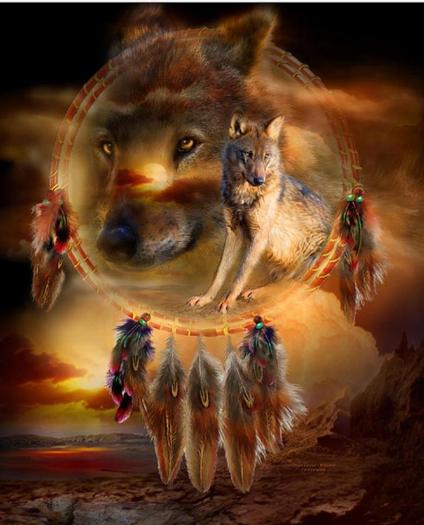 Wolf Dreams