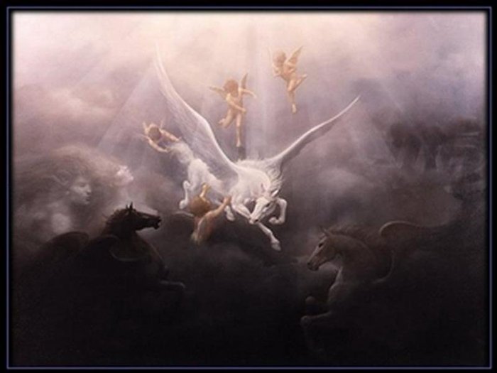 Pegasus Fanstasy