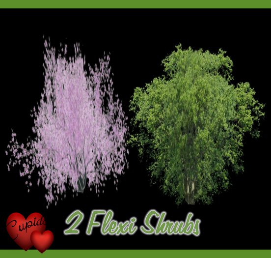 2 Flexi Shrubs