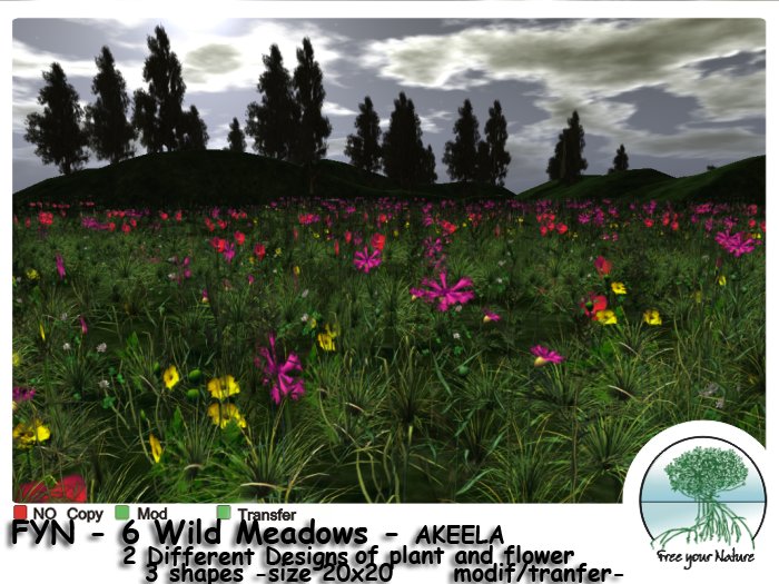 Box FYN - 6 Wild Meadows - AKEELA -
