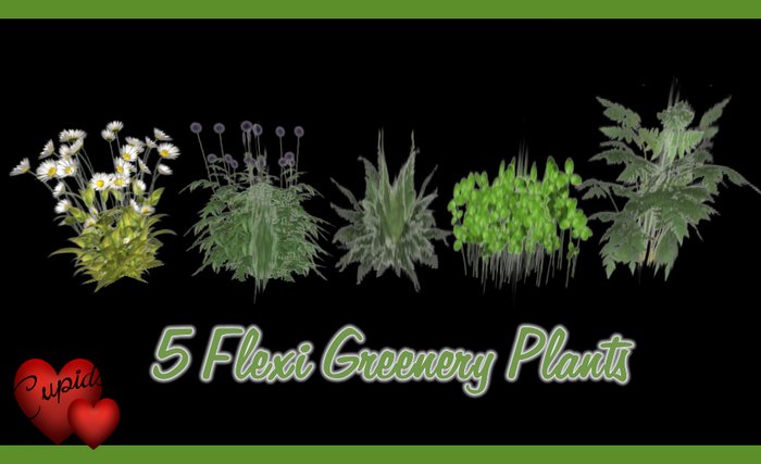 5 Flexi Greenery Plants