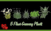 5 Flexi Greenery Plants