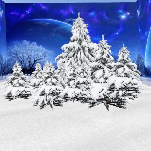 Panoramic winter pines 3