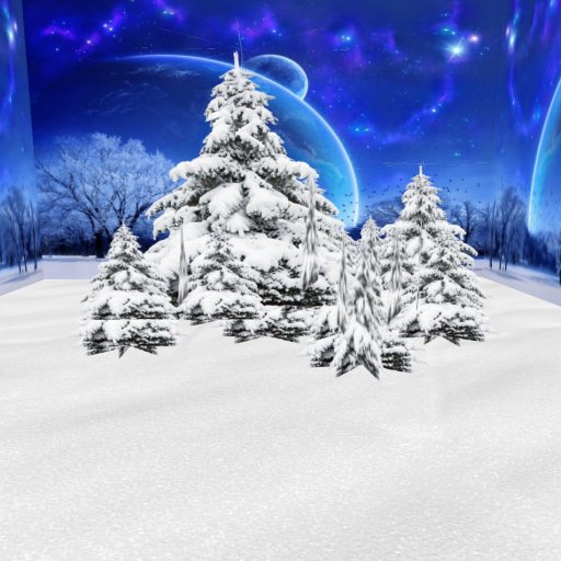 Panoramic winter pines 5
