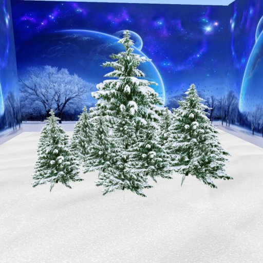 Panoramic winter pines 9