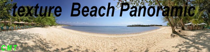 Beach-Panoramic  texture