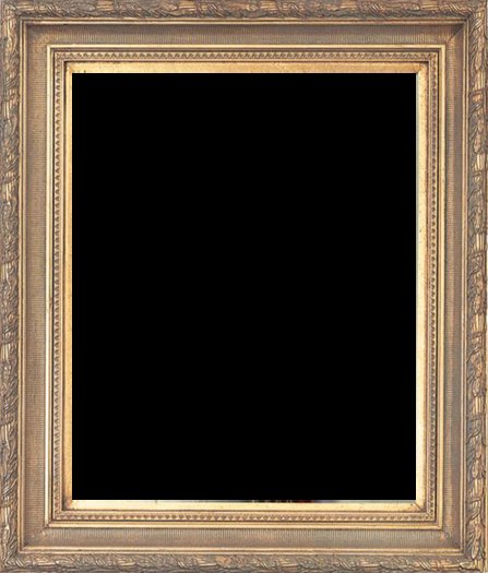 ZX-FDN2017-TGWL Frame