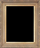 ZX-FDN2017-TGWL Frame