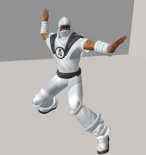 Ninja white outfit