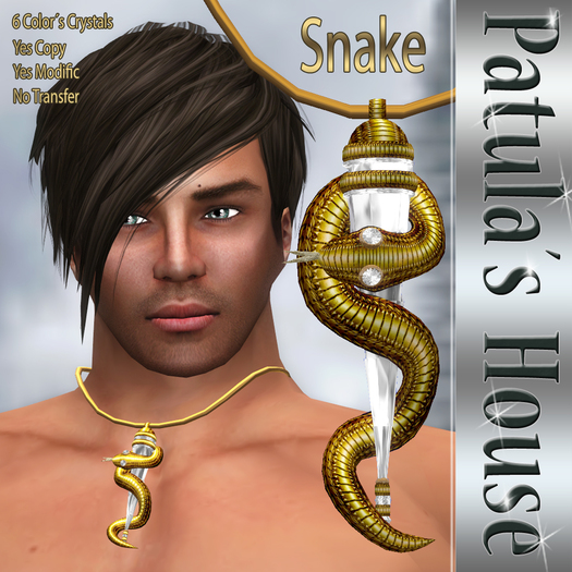 *Patulas House Gold Snake Necklace (man)