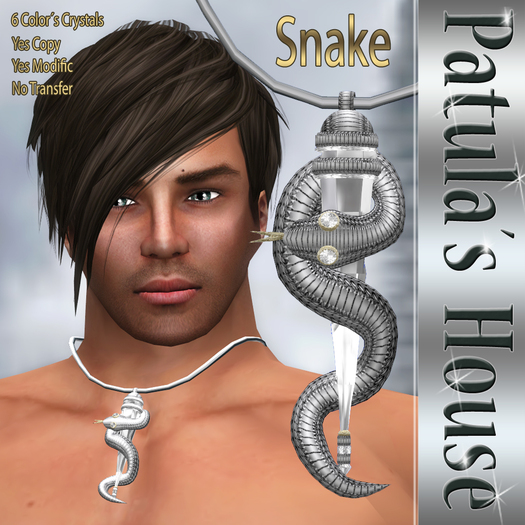 *Patulas House Silver Snake Necklace (man)