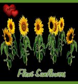Flexi Sunflowers