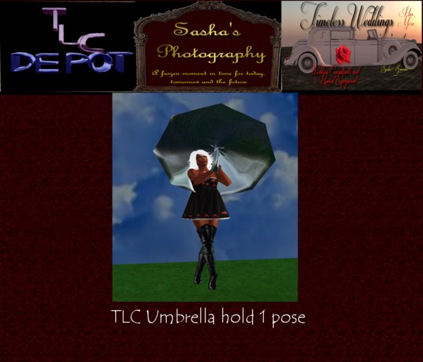TLC Depot (box) Umbrella hold 1 pose