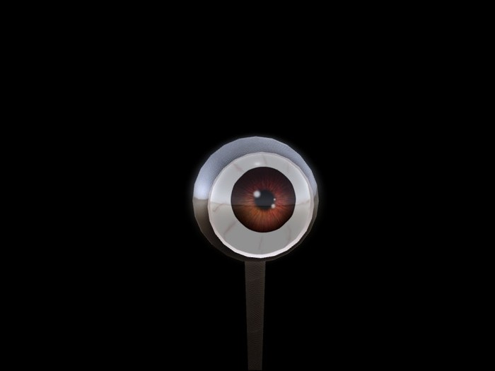 Big eye (follower)