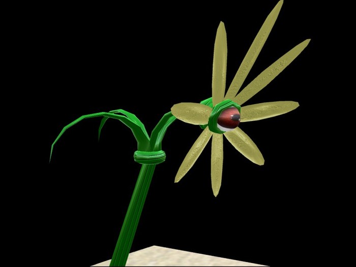 Flower (follower)