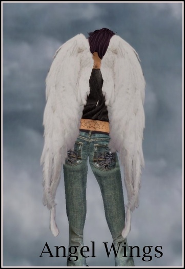 Angel Feather Wings