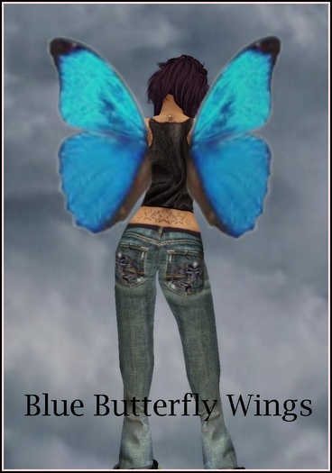 Blue Butterfly Wings
