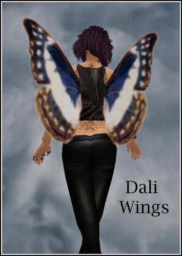 Dali Wings