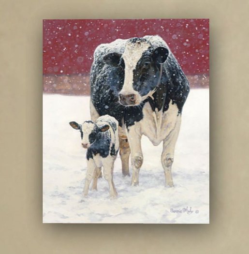 Snowing Country
