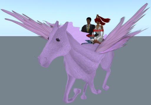 Flying Round The Sim(for 2)