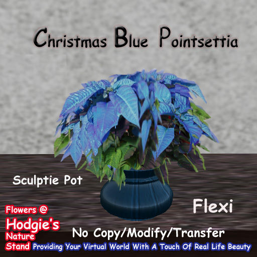 Hodgie's Flowers & Plants  --  Christmas  Pointsettia (Blue) Flexi Plant In Sculptie Pot  Holiday Ch