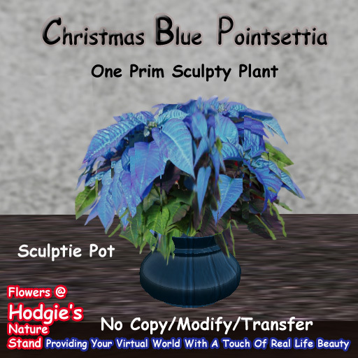 Hodgie's Flowers & Plants  --  Christmas Pointsettia (Blue) In Sculptie Pot (One Prim Sculpty Plant)