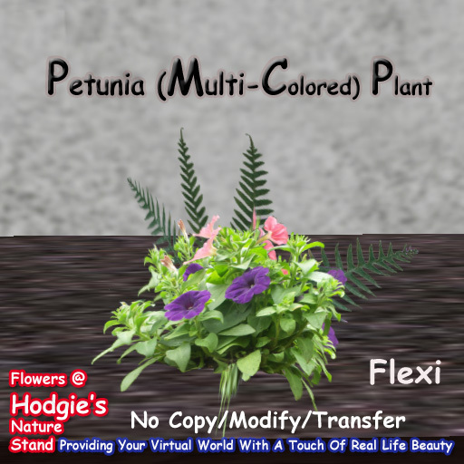 Hodgie's Flowers & Plants  --  Petunial (Multi-Colored) With Licorice Fern  (Flexi)
