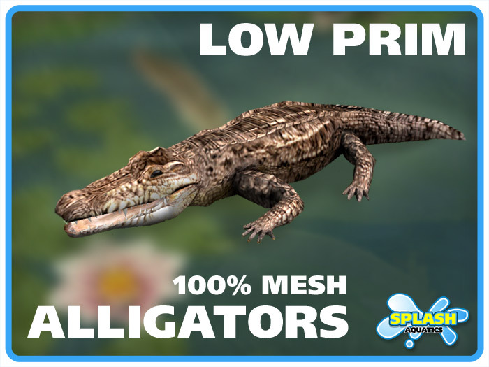 Alligator - Standing - Pose A