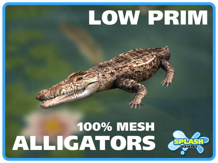 Alligator - Standing - Pose B