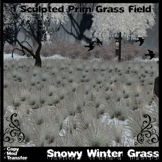 A Netherworld - Snowy Winter Grass