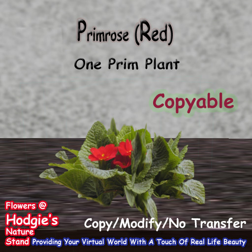 Hodgie's Flowers & Plants  --  Primrose (Red) One Prim Sculpty Plant (One Prim Plant) (Copyable)