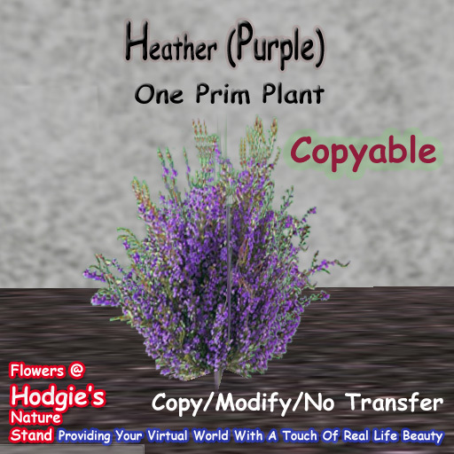 Hodgie's Flowers & Plants --  Heather (Purple) One Prim Sculpty Plant (COPYABLE)