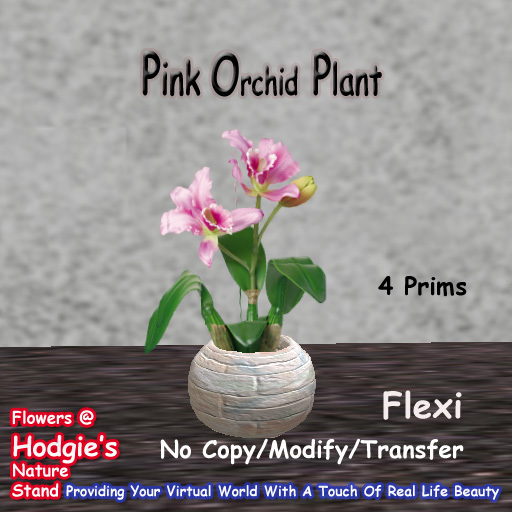 Hodgie's Flowers & Plants --  Orchid ( Pink ) Flexi  in Sculptie Pot  Tropical