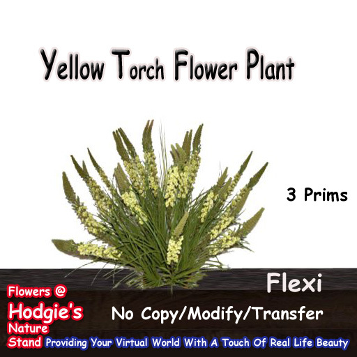Hodgie's Flowers & Plants  --  Torch Flower (Yellow) Flexi Plant   