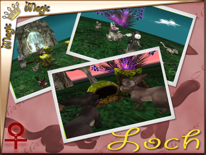 ** PROMO ** Lock Notched VST! Female/Shy/Orchid/3771652