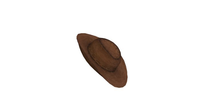 Cowboy Hat Brown 2R